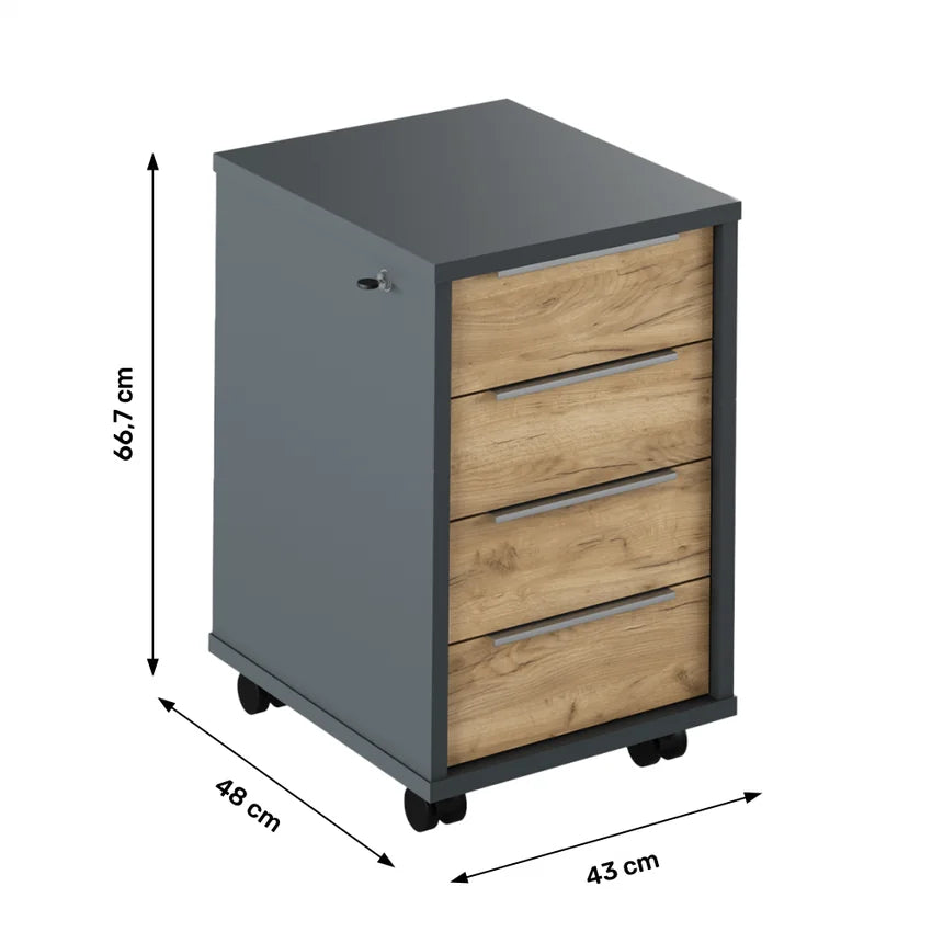 Noptiera RIOMA NEW TYP 30, stejar artisan/gri grafit, DTD laminat, cu 4 sertare, 43x48x67 cm