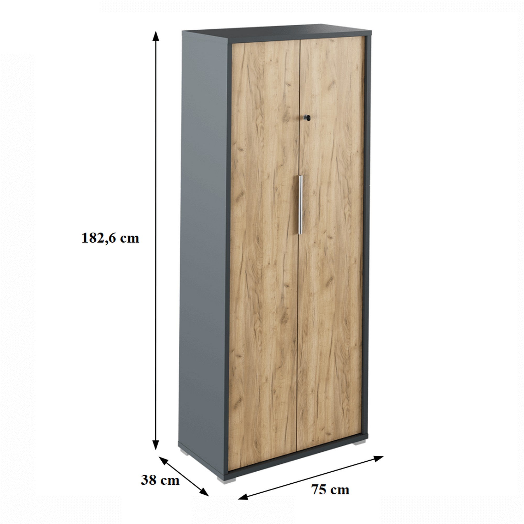 Dulap RIOMA NEW TYP 31, stejar artisan/gri grafit, DTD laminat, cu 2 usi, 75x38x183 cm