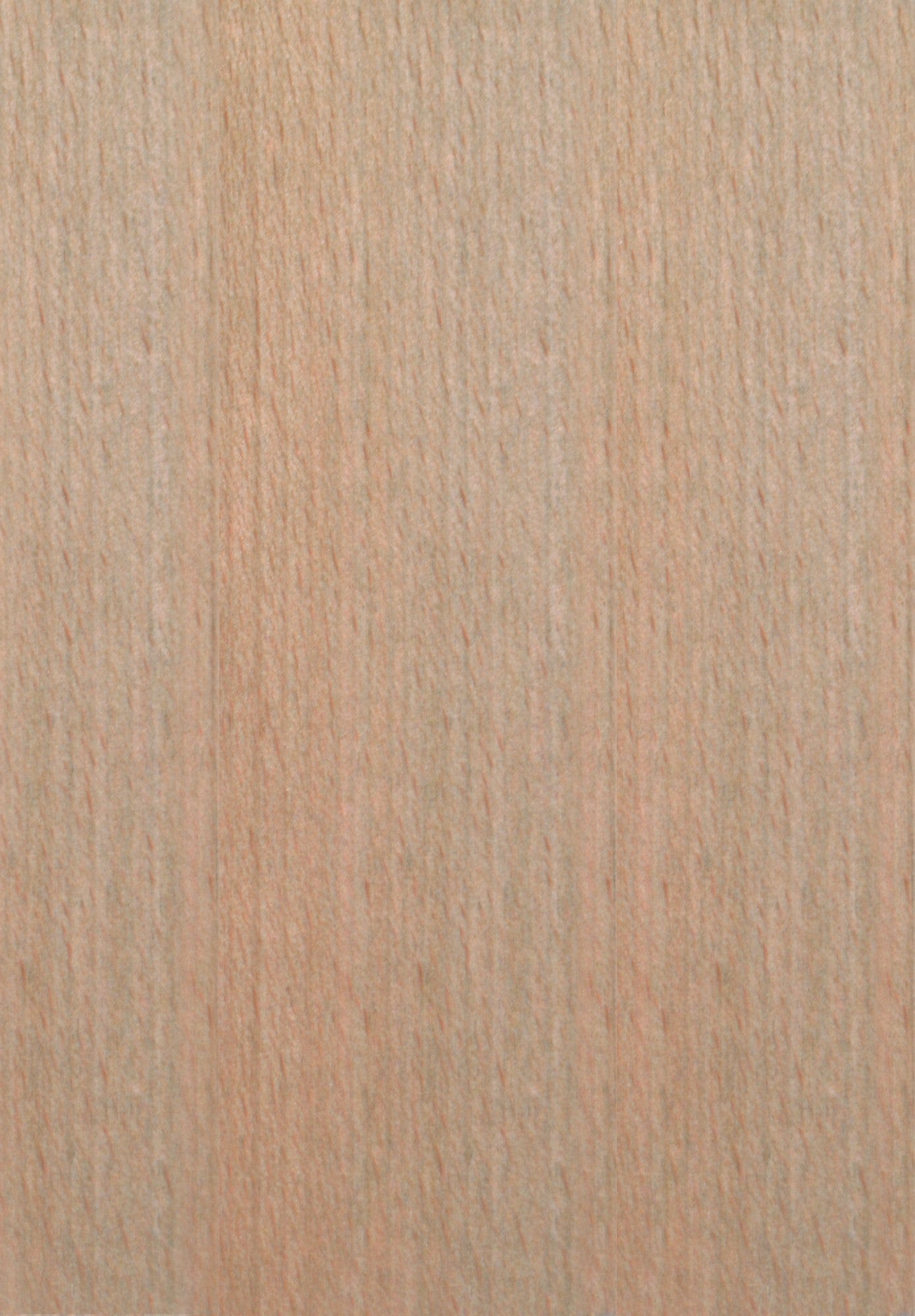 Scaun BOS 7, stejar grandson/gri inchis - Aston 6, lemn de fag/stofa clasica, 43x40x95 cm