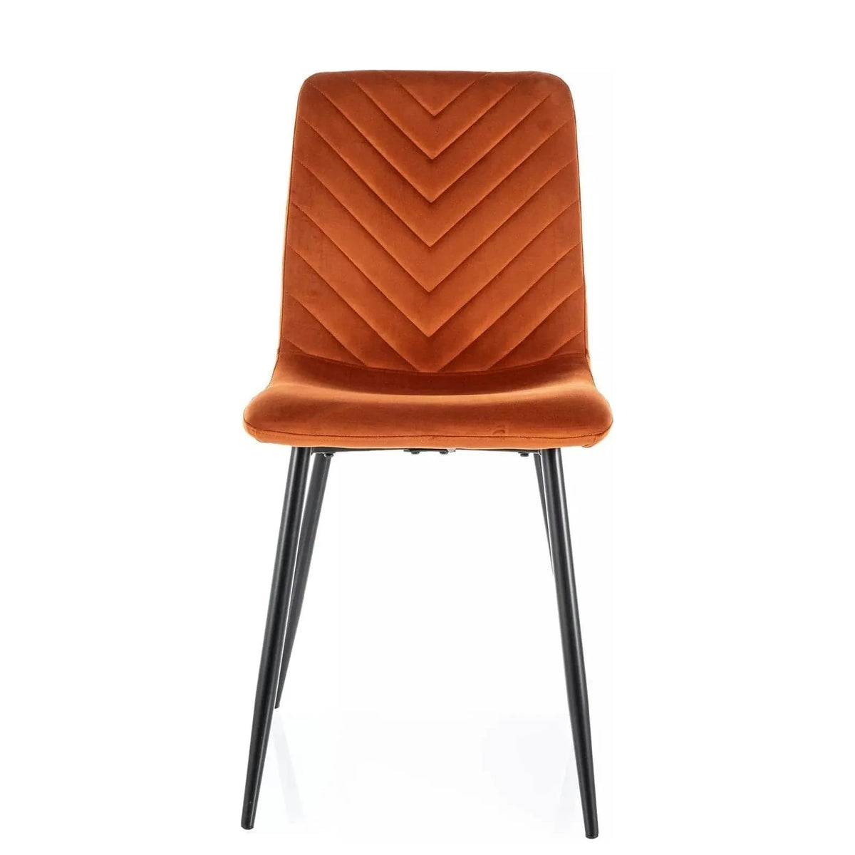 Scaun DAREN, scortisoara - Bluvel 4215, stofa catifelata/metal, 45x39x91 cm