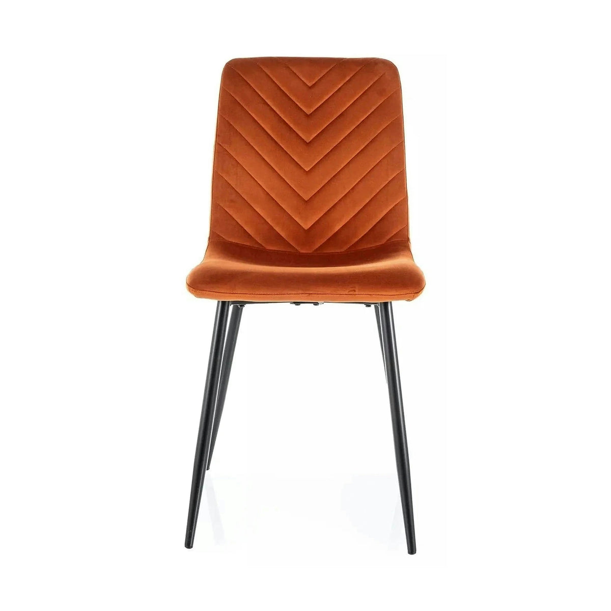 Scaun DAREN, scortisoara - Bluvel 4215, stofa catifelata/metal, 45x39x91 cm