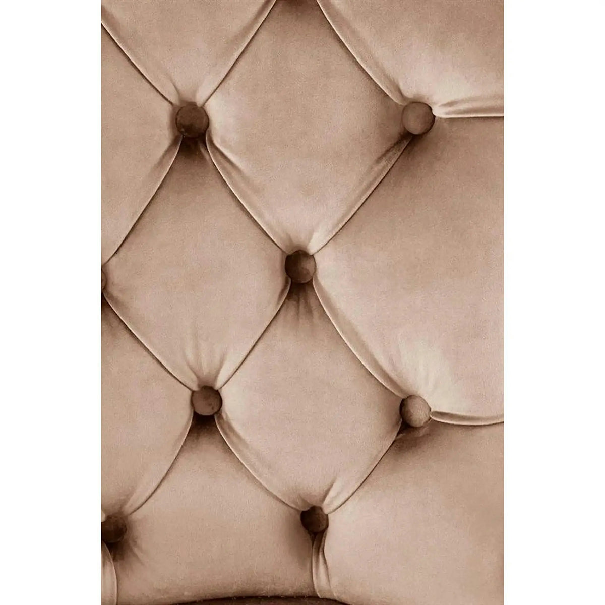 Scaun tapitat MIYA, bej - Bluvel 40, stofa catifelata/lemn, 54x60x100 cm
