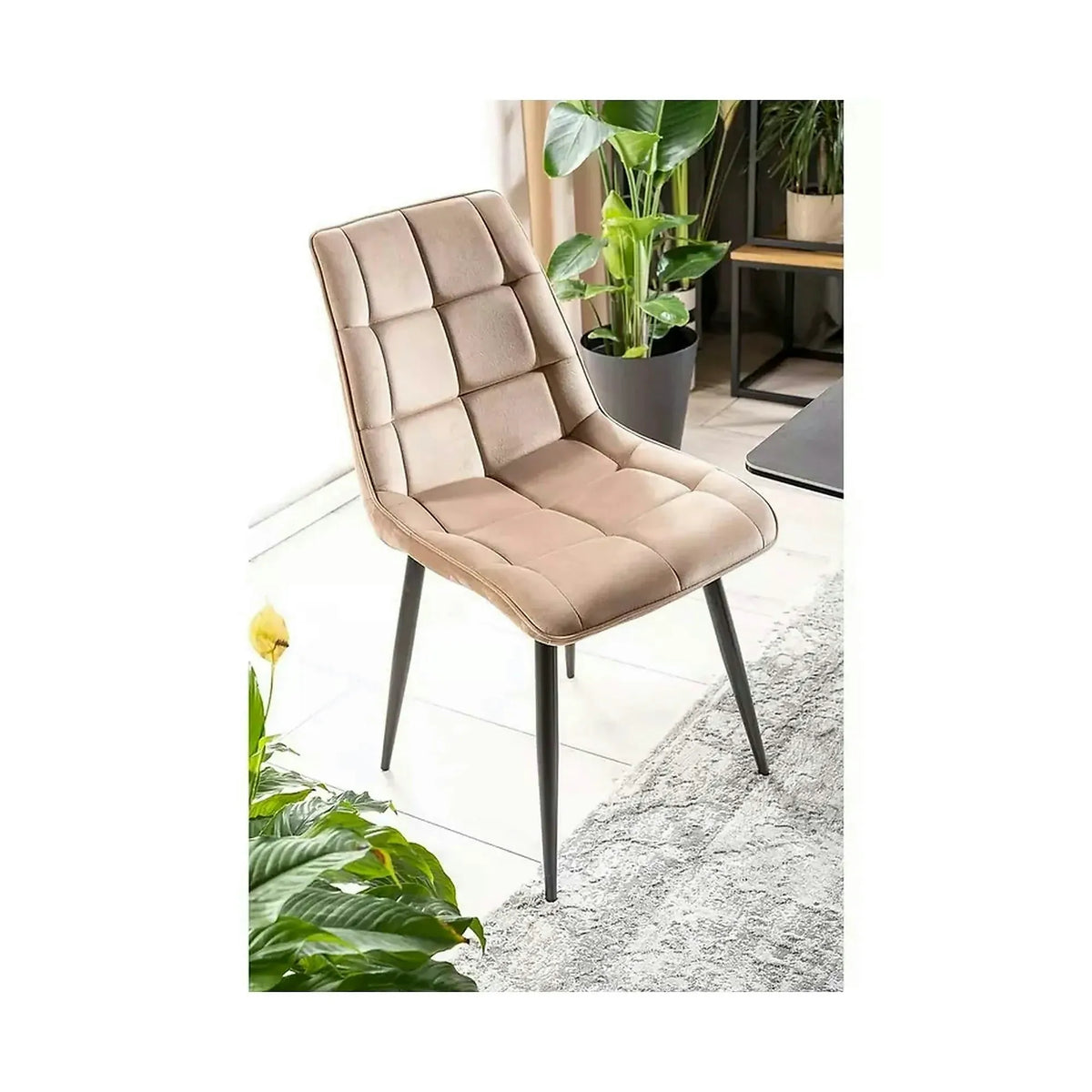 Scaun tapitat stofa CHIC, bej, catifea/metal, 50x58x88 cm