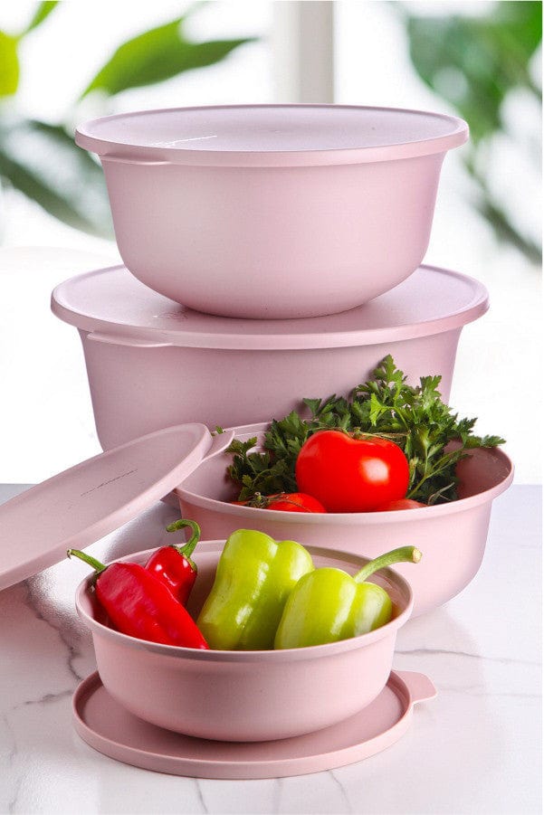Set 4 recipiente 964FRM3306, roz, plastic