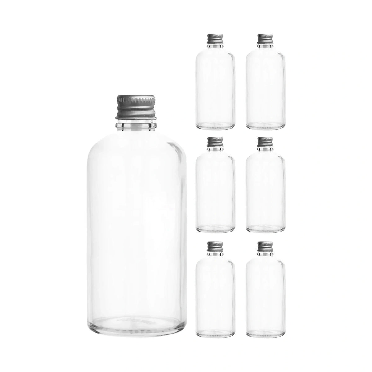 Set sticle TU-100CCGUMUSMETAL, 12 piese, transparent/argintiu, sticlă, 100 ml