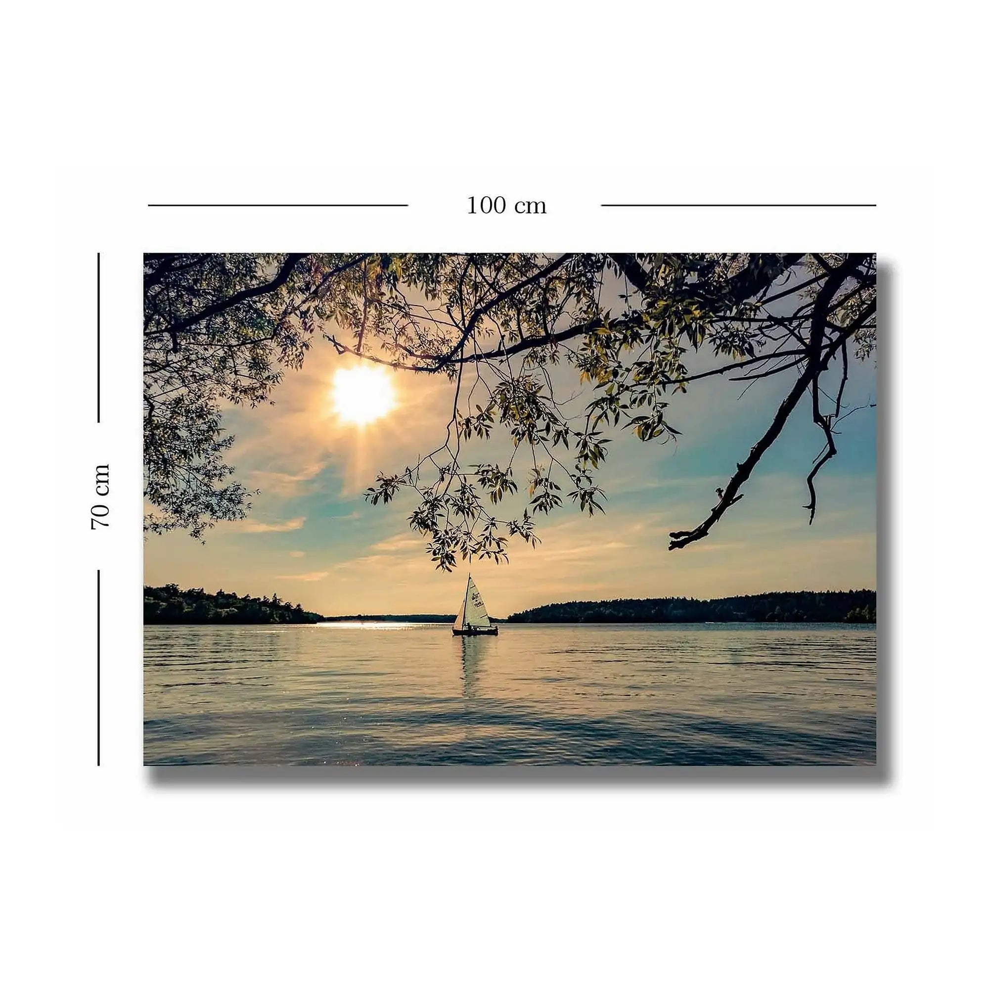 Tablou 252SGH1516, multicolor, panza, 100x70 cm