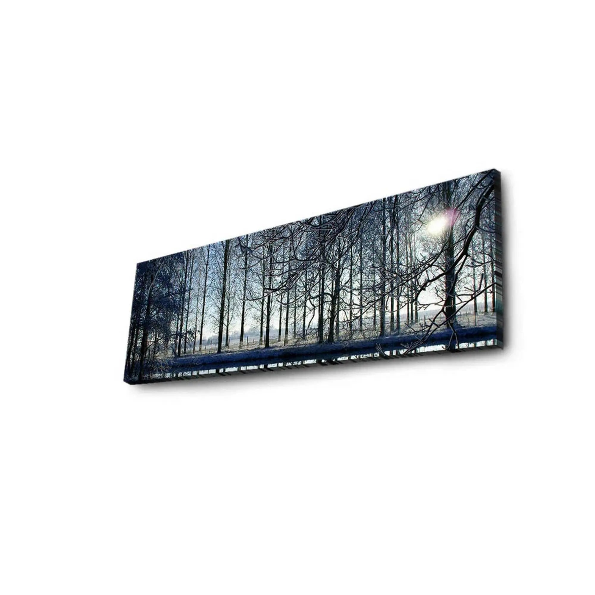 Tablou 3090DACT-37, multicolor, panza, cu iluminare LED, 90x30 cm