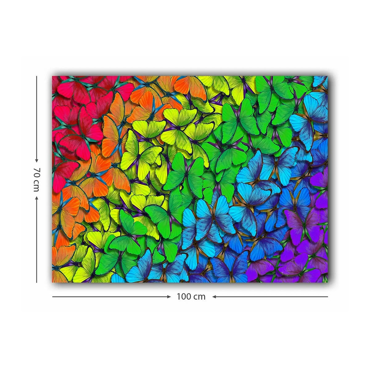 Tablou 441HPE1814, multicolor, panza, 100x70 cm