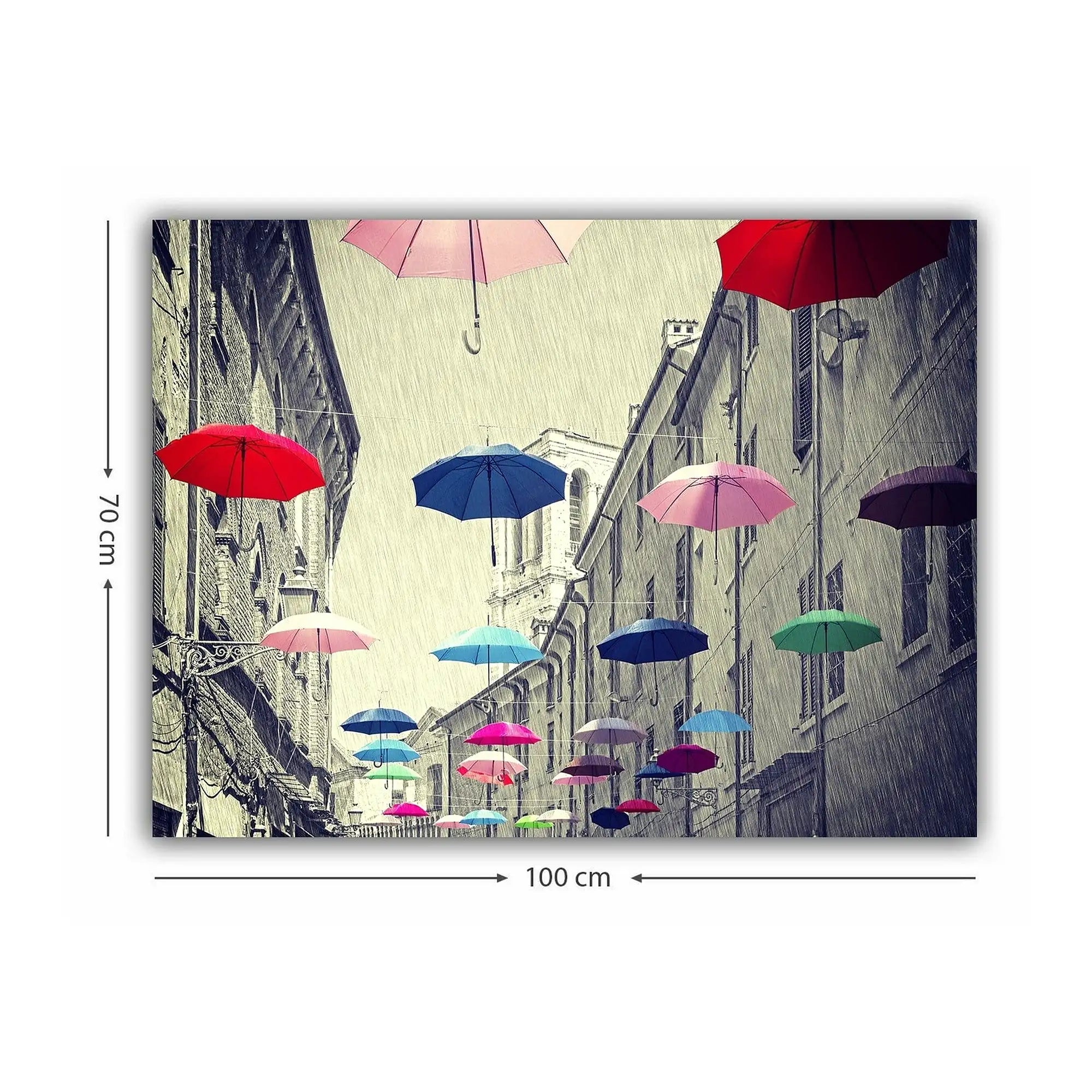Tablou 441HPE2189, multicolor, panza, 100x70 cm