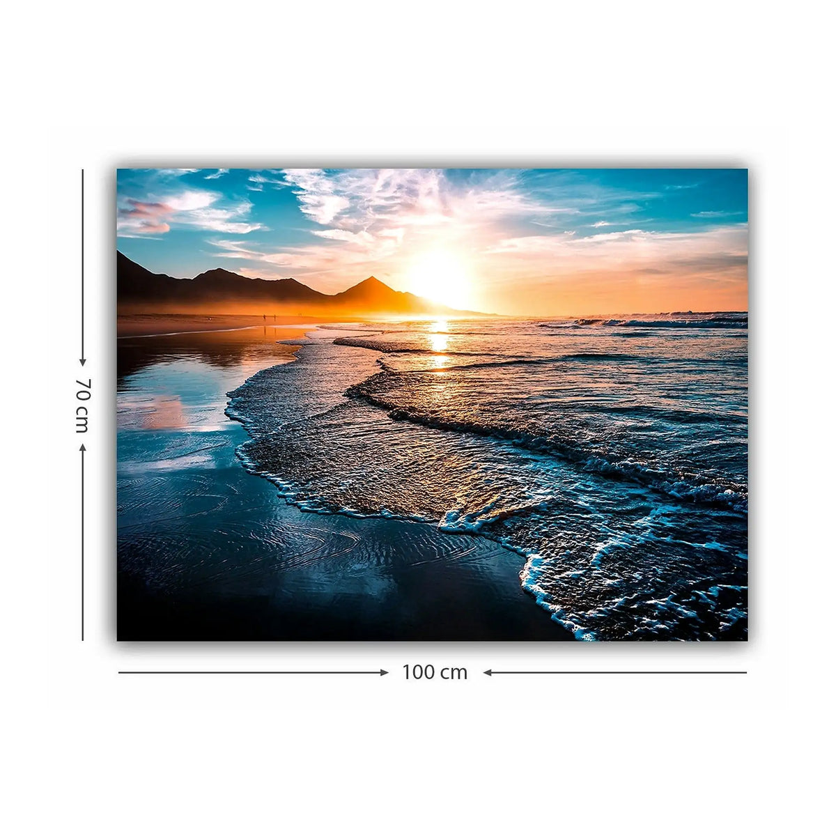Tablou 441HPE2734, multicolor, panza, 100x70 cm