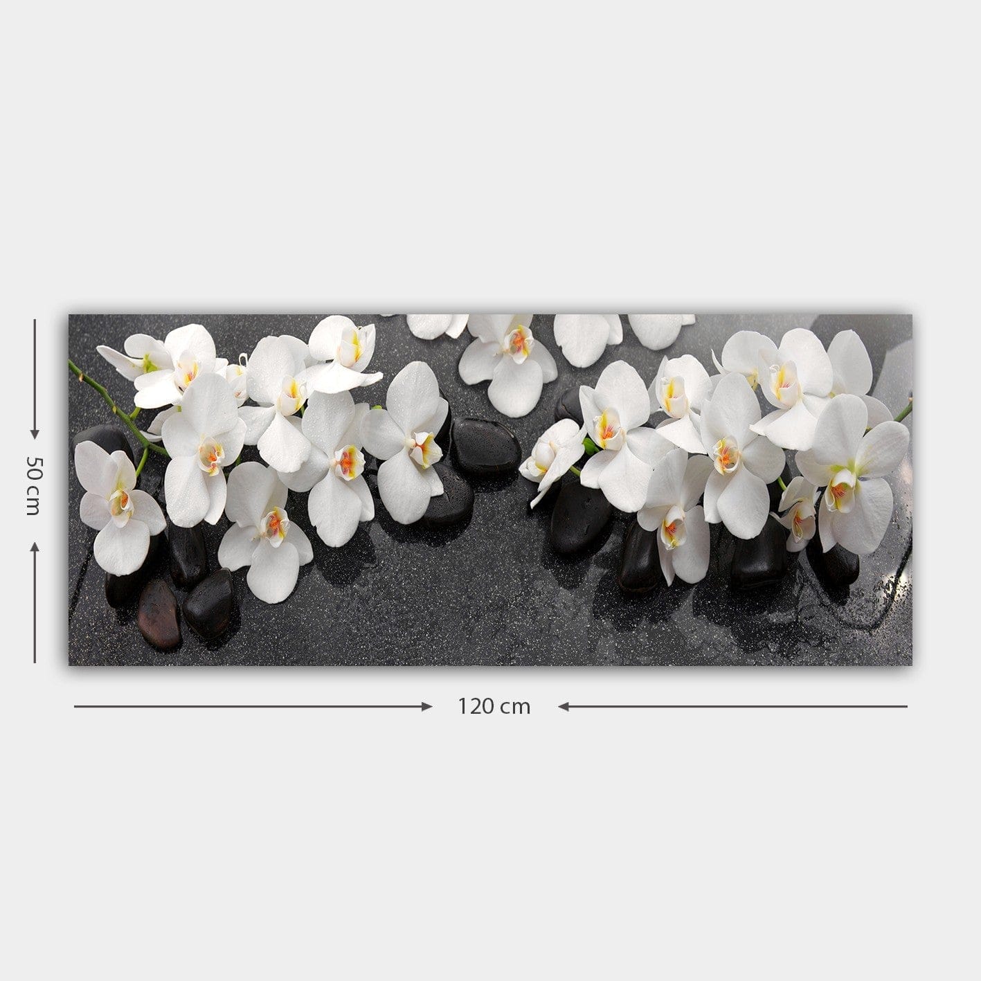 Tablou 451ERN1167, negru/alb, panza/lemn, 120x50 cm