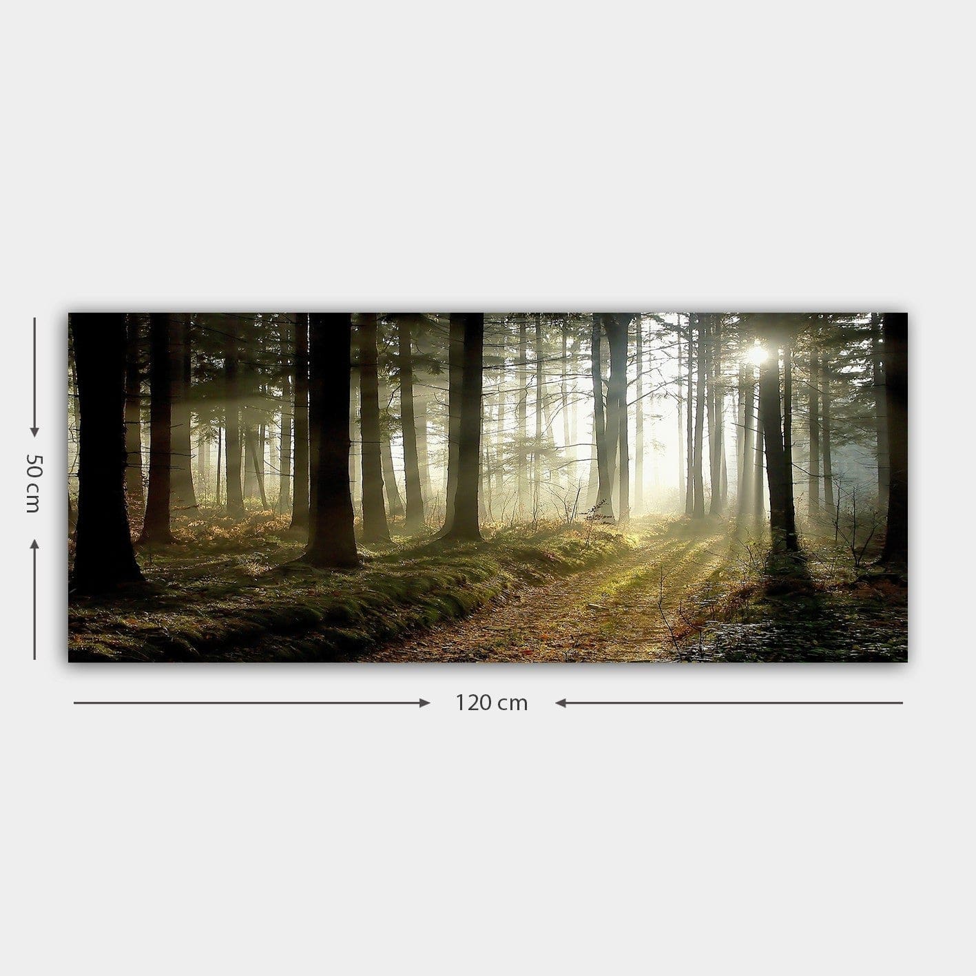 Tablou 451ERN1413, multicolor, panza/lemn, 120x50 cm