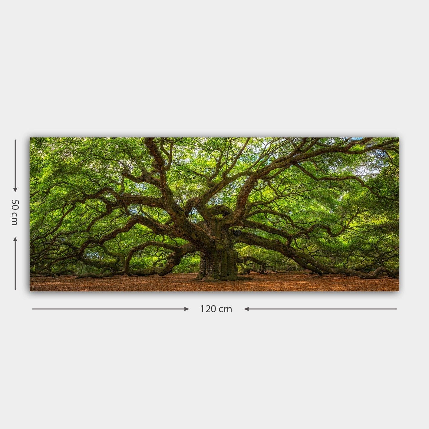 Tablou 451ERN1623, verde/maro, panza/lemn, 120x50 cm