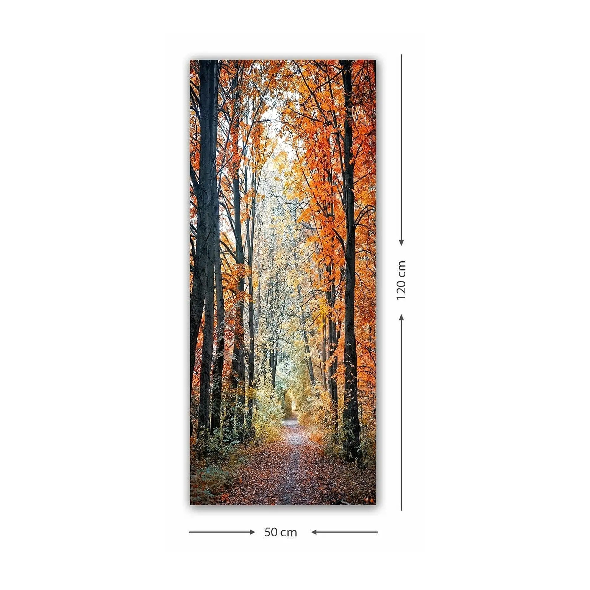 Tablou 451ERN1858, multicolor, panza, 50x120 cm