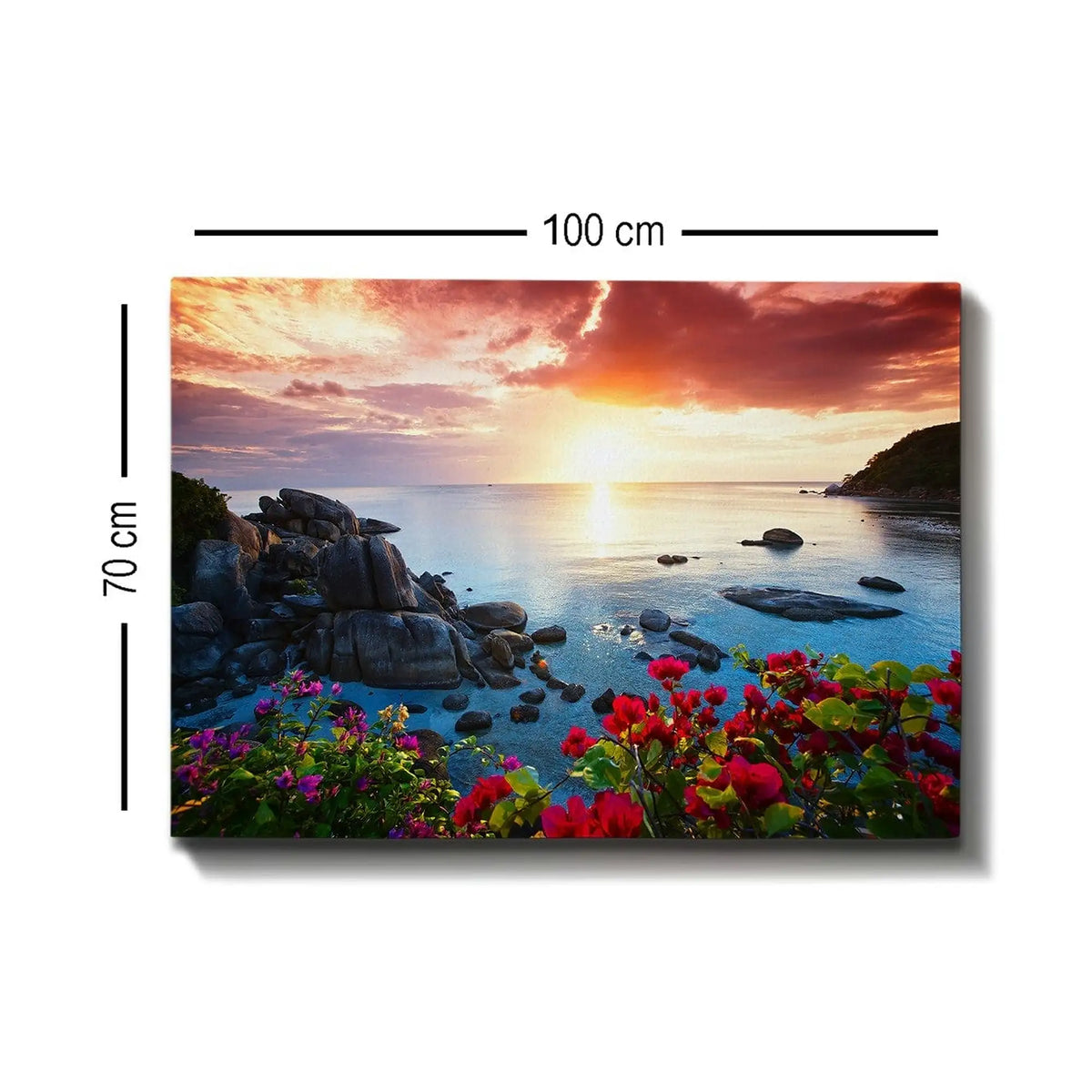 Tablou 529TCR1489, multicolor, panza, 100x70 cm