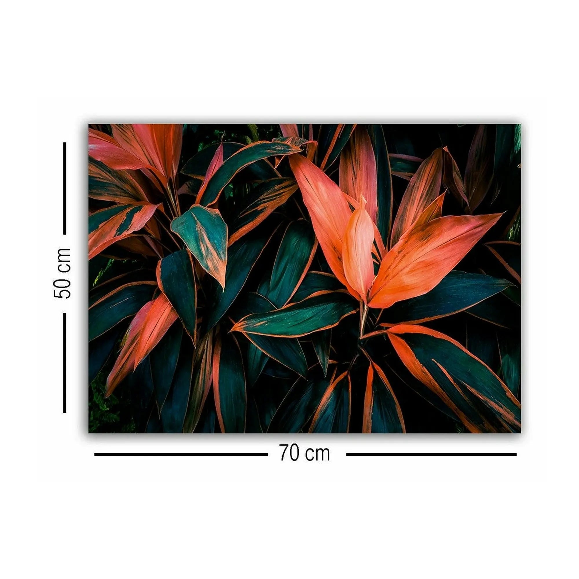 Tablou 529TCR1731, multicolor, panza/lemn, 70x50 cm