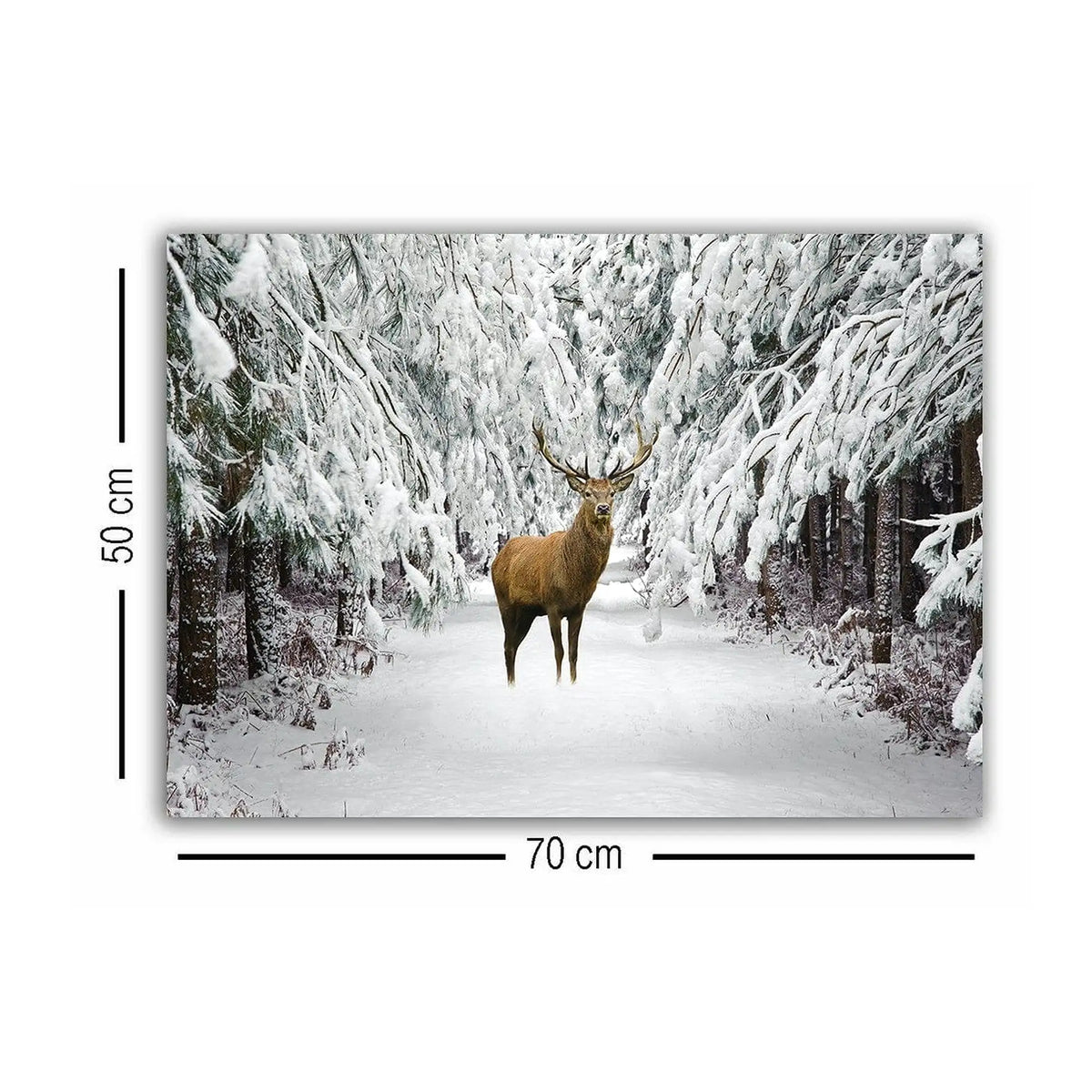 Tablou 529TCR1999, alb, panza, 70x50 cm