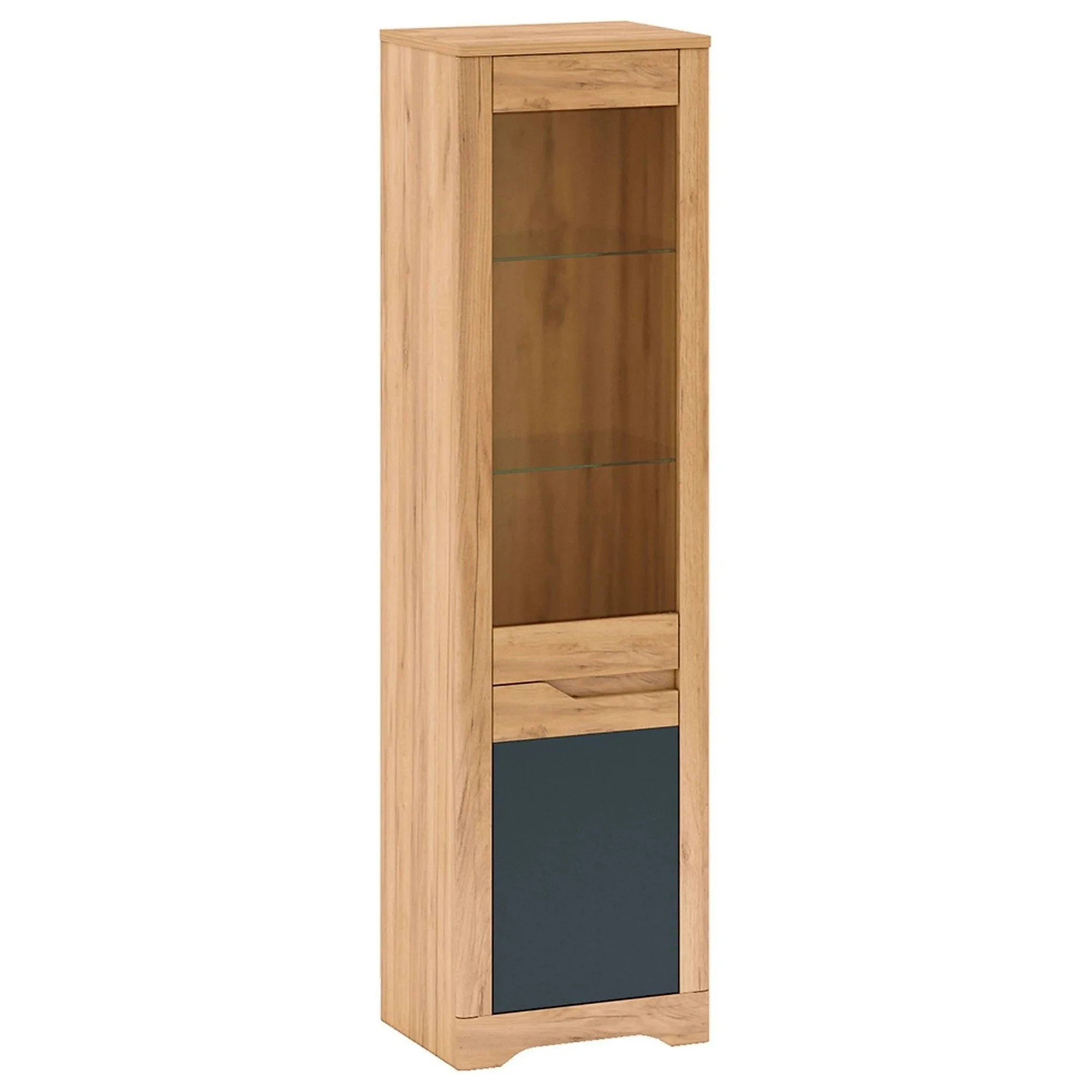 Vitrina FIDEL A1, stejar artisan/gri grafit, PAL laminat/sticla, 55x42x201 cm