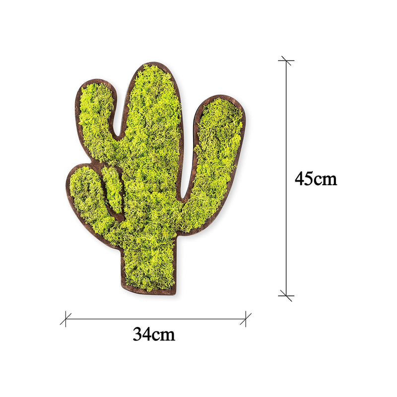 Accesoriu decorativ Cactus, verde, muschi natural, 34x2x45 cm
