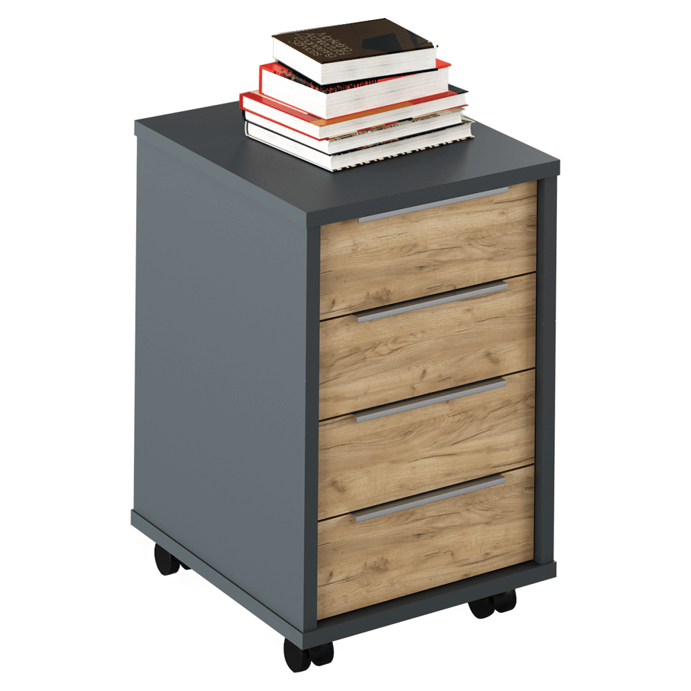 Comoda birou RIOMA NEW TYP 14, gri grafit/stejar artisan, DTD laminat/metal, 43x48x67 cm