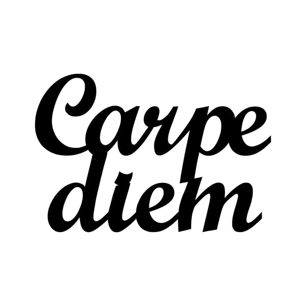 Decoratiune perete CARPEDIEM 1, negru, metal, 50x38 cm