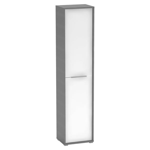 Dulap RIOMA NEW TYP 06, gri grafit/alb, DTD laminat, cu 2 usi, 50x38x218 cm