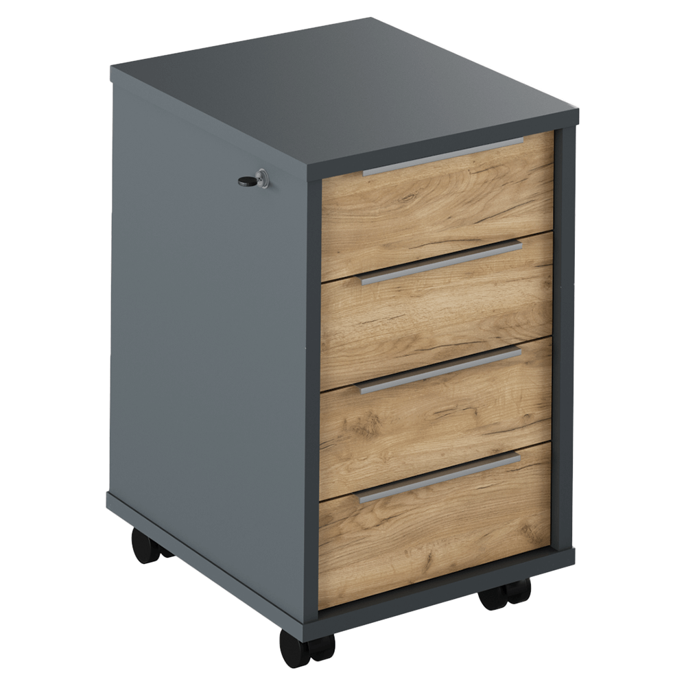 Noptiera RIOMA NEW TYP 30, stejar artisan/gri grafit, DTD laminat, cu 4 sertare, 43x48x67 cm