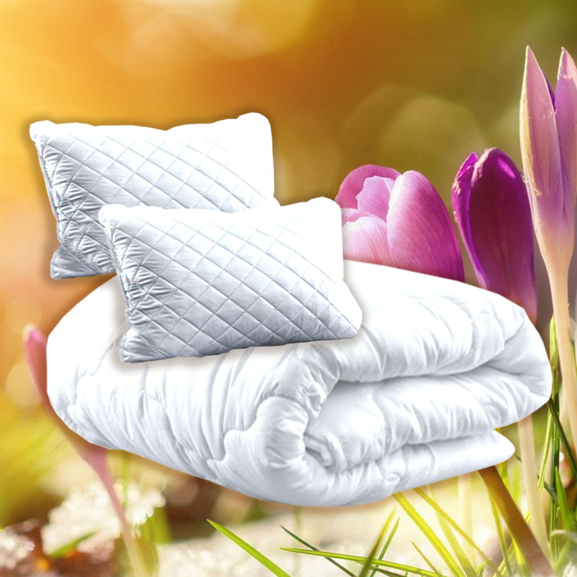 Pachet primavara pilota+doua perne, 200x220 cm