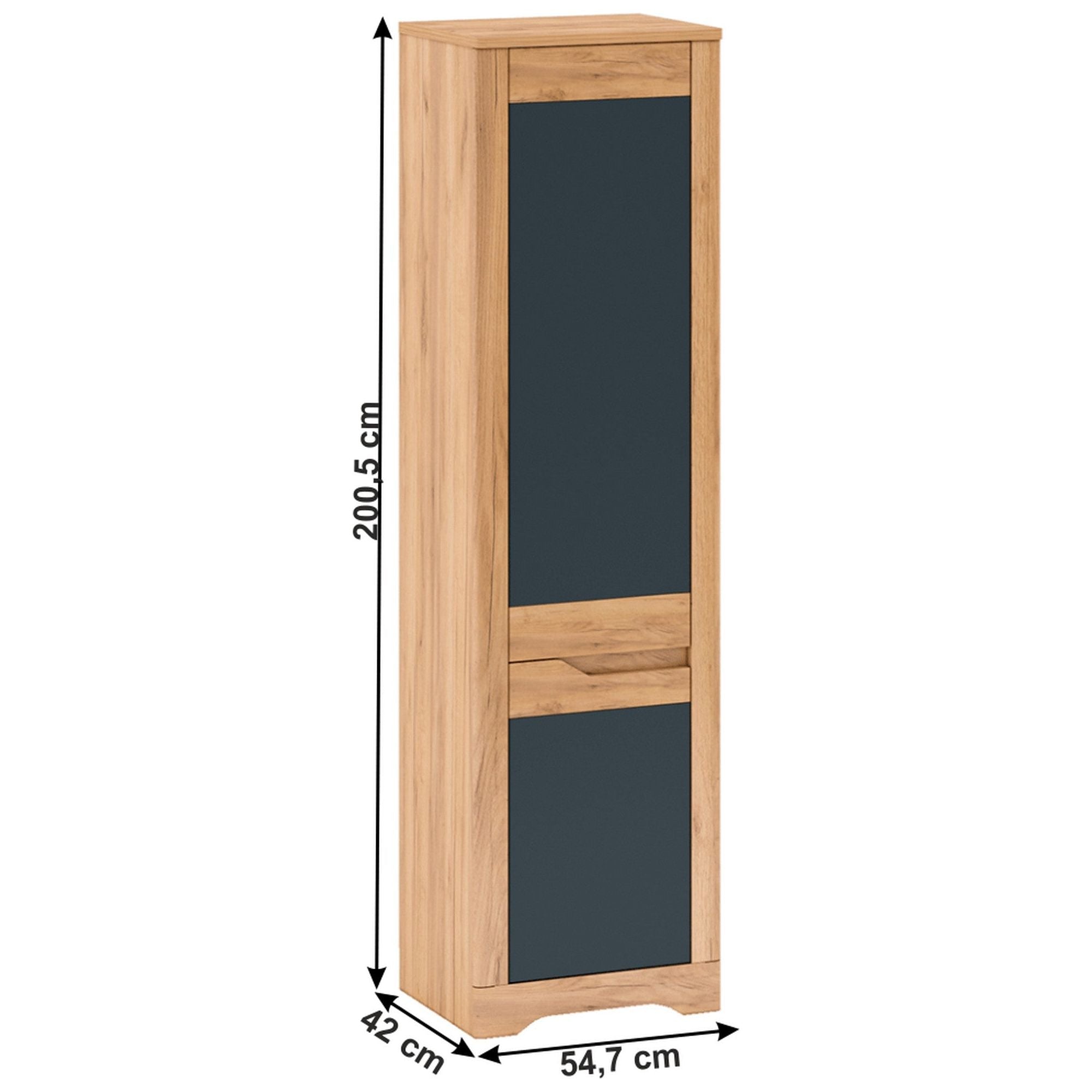 Dulap FIDEL V2,  stejar craft auriu/gri grafit, DTD laminat, cu 2 usi, cu deschidere dreapta, 55x42x201 cm